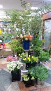 「花と緑の花甚」　（三重県桑名市）の花屋店舗写真1